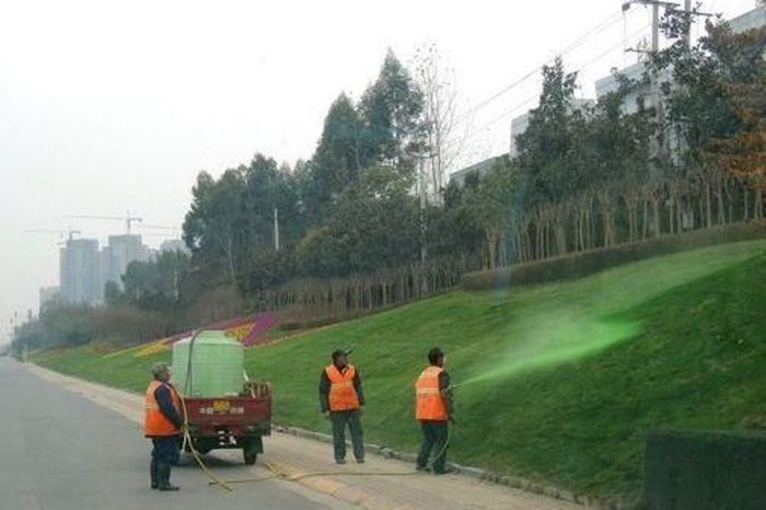 Озеленители в Китае